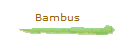 Bambus