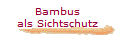 Bambus
als Sichtschutz