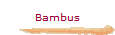 Bambus